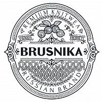 лого ООО Брусника Восток лого ООО Брусника Восток